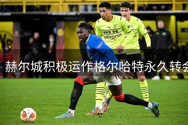 赫尔城积极运作格尔哈特永久转会事宜